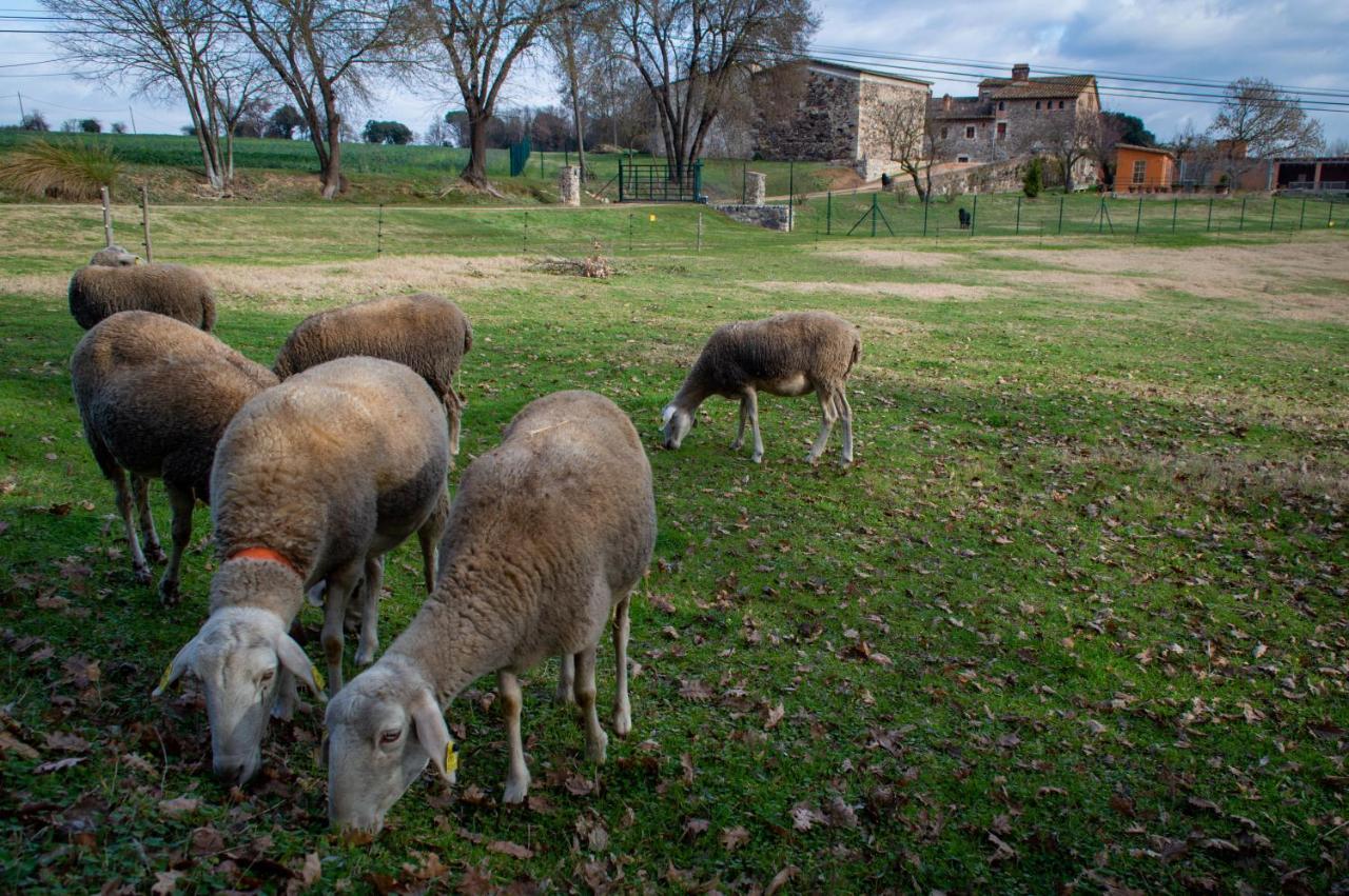 Mas Teixidor, Masia entre Girona y la Costa Brava Caldes de Malavella Exterior foto