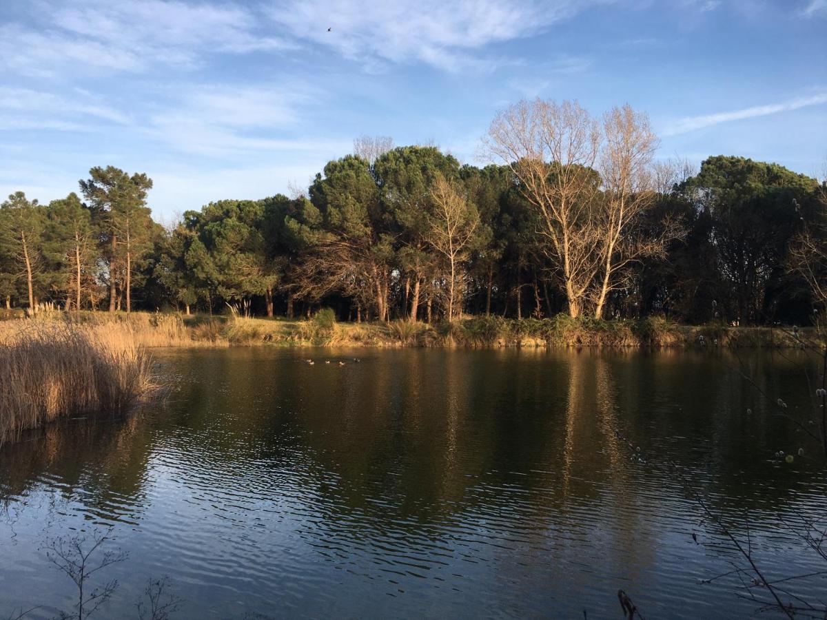 Mas Teixidor, Masia entre Girona y la Costa Brava Caldes de Malavella Exterior foto